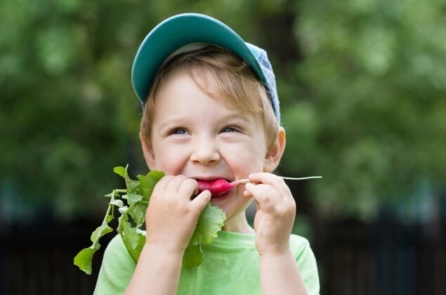 Củ cải rất tốt cho bạn