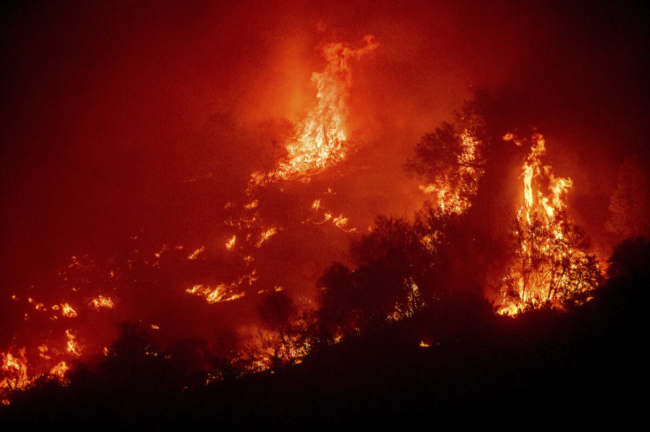 Cháy rừng ở California đe dọa các cây cổ thụ gỗ đỏ ở dãy Sierra Nevada