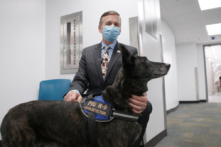 Phi trường Miami đưa ra chương trình phát hiện COVID-19 bằng chó nghiệp vụ