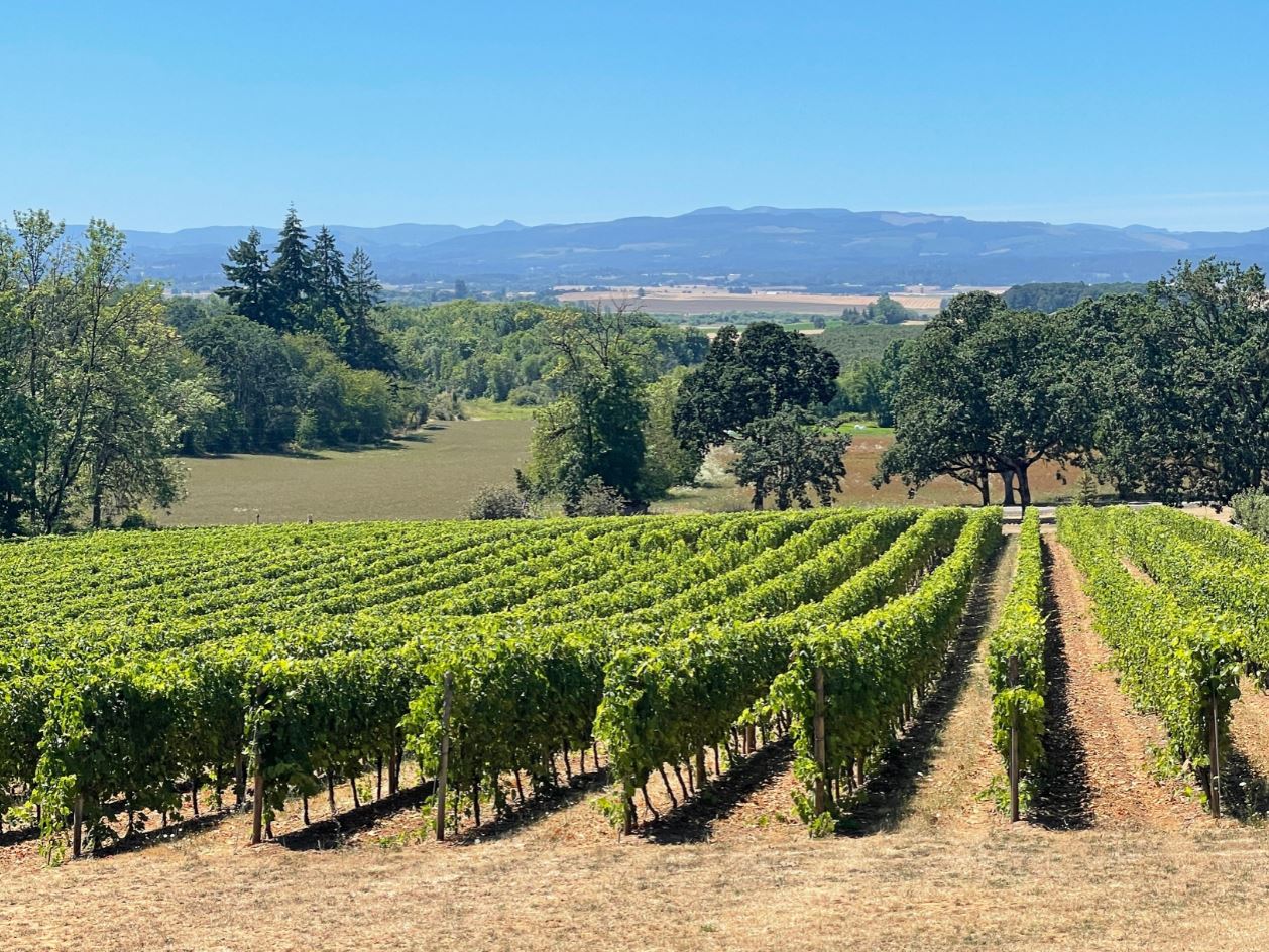 thung lũng rượu vang tại Oregon