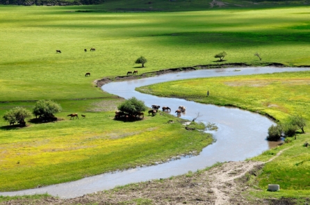 Vẻ đẹp trên những bức ảnh