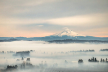 Tham quan lãnh địa rượu vang Oregon