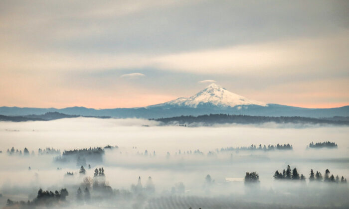 Tham quan lãnh địa rượu vang Oregon