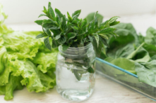 Đừng bỏ đi gốc hành lá và các loại rau thơm, hãy trồng chúng!