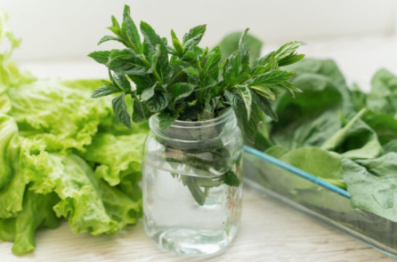 Đừng bỏ đi gốc hành lá và các loại rau thơm, hãy trồng chúng!