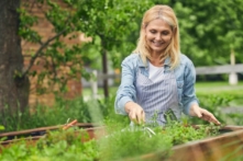 Ngò tây: Một nguồn dinh dưỡng dồi dào