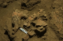 Bộ xương 7,000 năm tuổi tiết lộ manh mối về một chủng người vô danh