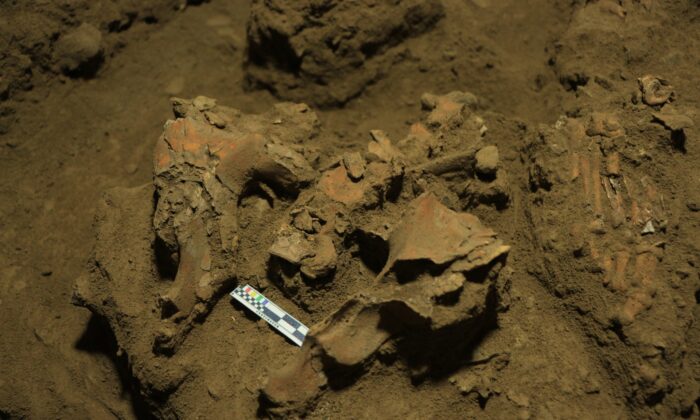 Bộ xương 7,000 năm tuổi tiết lộ manh mối về một chủng người vô danh