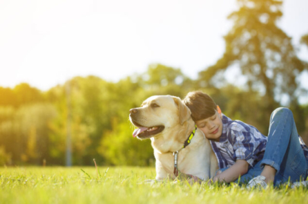 Góc nuôi dạy con: Giá trị của thú cưng