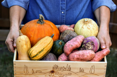 Tháng Mười là thời điểm tốt nhất để mua sắm