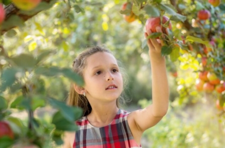 Những thực phẩm lành mạnh nhất trong mùa này