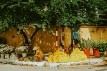 Hương thu khúc giao mùa