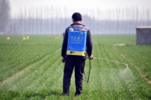 Trung Quốc đối mặt với vấn đề an ninh lương thực Thực phẩm có thể trở nên khan hiếm, đe dọa bất ổn dân sự