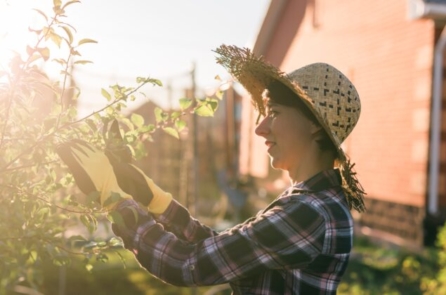 Sống một cách có chủ đích