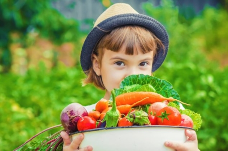 Tại sao thực phẩm thực sự là một nguồn thông tin?