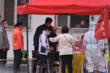 Trung Quốc: Mèo nuôi bị tiêu hủy sau khi nhiễm COVID, khiến dư luận phẫn nộ