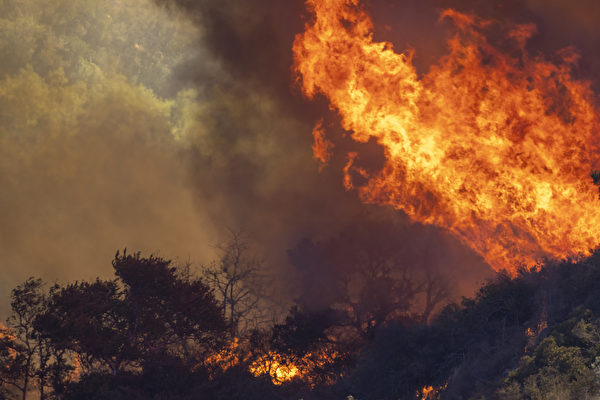 ảnh cháy rừng ở California