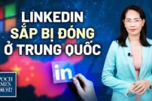 Tin TG ngày 15/10: Trái phiếu chính phủ Hoa Kỳ có thể mất thế mạnh là tài sản an toàn