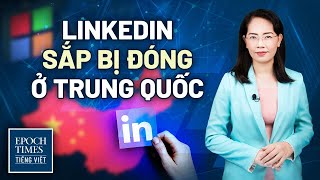 Tin TG ngày 15/10: Trái phiếu chính phủ Hoa Kỳ có thể mất thế mạnh là tài sản an toàn