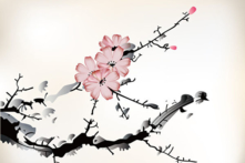 Sự an bài tốt nhất