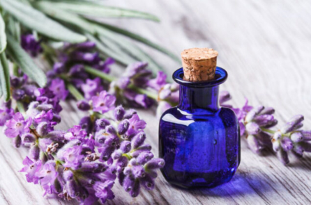 Ba loại tinh dầu giúp giảm đau đầu gối