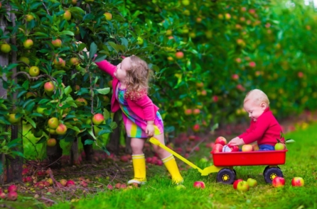 Một vài cách để loại bỏ thói quen ăn đường 