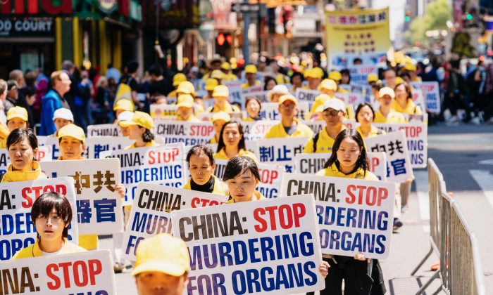 Tội ác chưa phân: Truyền thông không đưa tin về nạn thu hoạch nội tạng cưỡng bức của Trung Quốc