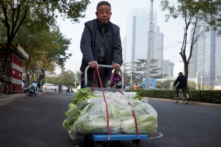 Cư dân Bắc Kinh tích trữ bắp cải trong khoảng thời gian hoang mang