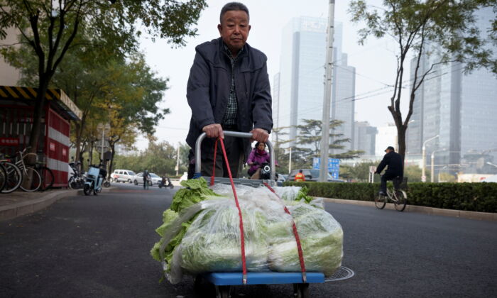 Cư dân Bắc Kinh tích trữ bắp cải trong khoảng thời gian hoang mang