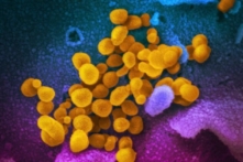 Goldman Sachs chỉ trích sự hoang mang về biến thể Omicron