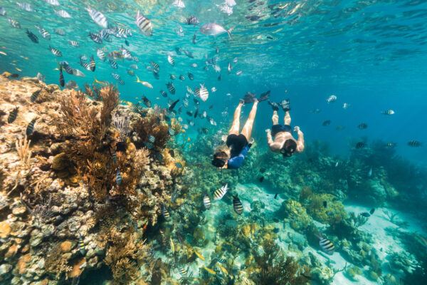 quần đảo Bahamas 