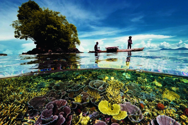 Đại dương tuyệt đẹp qua ống kính của nhiếp ảnh gia National Geographic