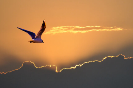 Trong hỗn loạn chúng ta tìm thấy những điều đẹp đẽ