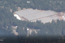 Oregon: Băng đảng sử dụng nô lệ ma túy để trồng cần sa bất hợp pháp trên quy mô công nghiệp