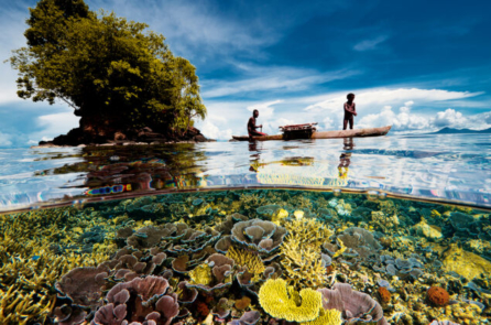 Đại dương tuyệt đẹp qua ống kính của nhiếp ảnh gia National Geographic