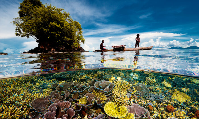 Đại dương tuyệt đẹp qua ống kính của nhiếp ảnh gia National Geographic