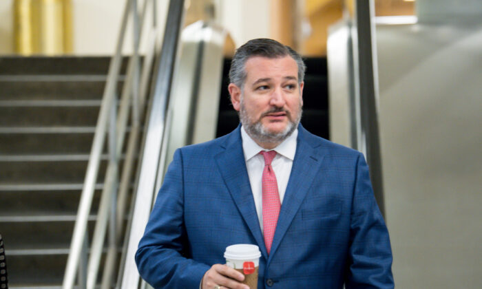 Thượng nghị sĩ Ted Cruz giới thiệu dự luật ngăn chặn lệnh bắt buộc chích ngừa cho trẻ em