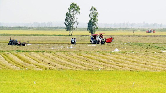 chính sách tiền lương