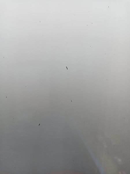 Trung Quốc chìm trong khói mù 