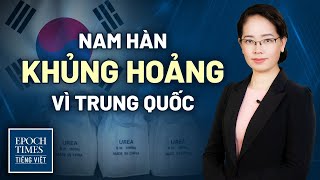 Tin TG ngày 09/11: Hoa Kỳ và mối đe dọa từ TikTok