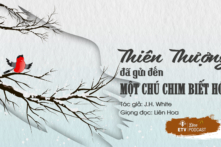 Thiên thượng đã gửi đến một chú chim biết hót để cứu rỗi tâm hồn chúng ta | ETV Podcast