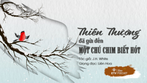 Thiên thượng đã gửi đến một chú chim biết hót để cứu rỗi tâm hồn chúng ta | ETV Podcast
