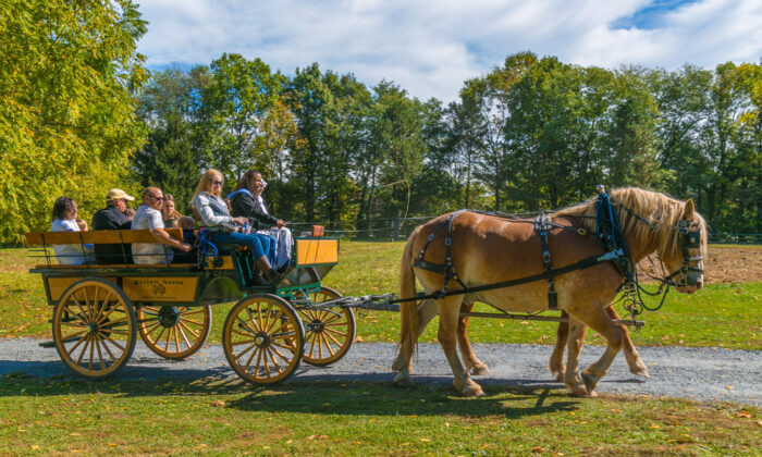 Lancaster, Pennsylvania: Ẩm thực, nghệ thuật, và văn hóa