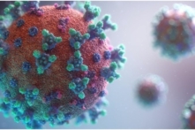 Việt Nam ghi nhận thêm 14 trường hợp nhập cảnh nhiễm biến chủng Omicron