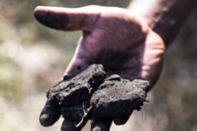 Sử dụng than toàn cầu trên đà đạt mức cao kỷ lục