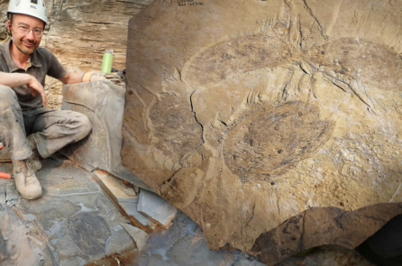 Hóa thạch loài chân đốt tuyệt chủng 500 triệu năm trước được tìm thấy tại Rocky Mountains