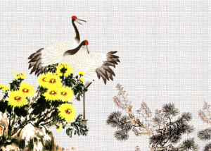 Hoa cúc: Biểu tượng của sức mạnh và bền bỉ