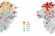 Việt Nam: Sài Gòn thêm ca thứ 12 nhiễm Omicron, biến chủng mới liệu có thay thế Delta vĩnh viễn?