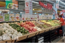 Việt Nam: Trung Quốc tiếp tục khôi phục thông quan tại Lào Cai, dừng hoạt động lối mở ở Móng Cái