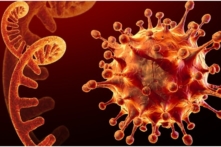 Việt Nam thêm 37 trường hợp nhập cảnh Sài Gòn đang chờ giải trình tự gene xác định biến chủng Omicron